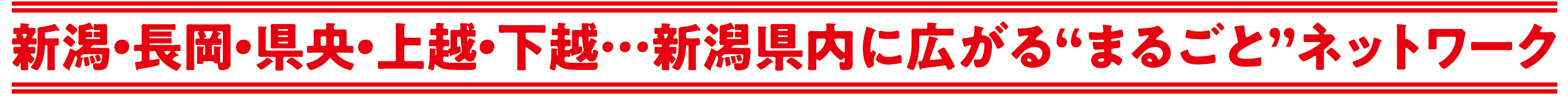新潟県内に広がるまるごとネットワーク
